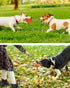 Dog Rope Toys with Squeaky Ball | Tug of War Dog Toy Ball on Rope for Small Medium Dogs to Keep Them Busy