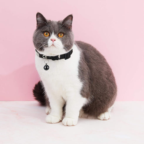 Weewooday 4 Pieces Rhinestones Cat Collars with Bell, Breakaway Pet Accessories in Soft Velvet, 4 Colors (S, Pink, Red,