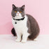 Weewooday 4 Pieces Rhinestones Cat Collars with Bell, Breakaway Pet Accessories in Soft Velvet, 4 Colors (S, Pink, Red,