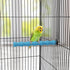 Hypeety Wood Perch Stand Paw Grinding Stick Toy for Bird Cage - Colorful Platform for Parrot Budgies Cockatiels (Random