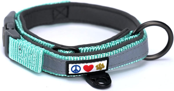 Pawtitas Lumberjack Padded Martingale Collar for Dogs, Soft Neoprene, Reflective Band, Medium Teal, Fits Small and