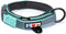 Pawtitas Lumberjack Padded Martingale Collar for Dogs, Soft Neoprene, Reflective Band, Medium Teal, Fits Small and