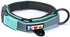 Pawtitas Lumberjack Padded Martingale Collar for Dogs, Soft Neoprene, Reflective Band, Medium Teal, Fits Small and