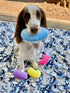 Set 4 Midlee Jelly Bean Easter Dog Toy- of (Large)