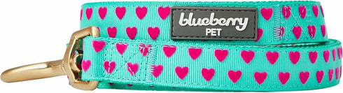 Blueberry Pet Valentine's Day Dog Leash, Velvety Soft-Touch Heart Flocking Lead for Medium Dogs, Minty Green, 5 ft x