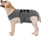 Lelepet Dog Diapers Female Washable, Reusable Puppy Doggie Pet Panties for Dogs