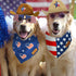 Vehomy 4th of July Pet Dog Costume - Cowboy Hats with Star Décor and American Flag Bandanas for Dogs Cats (4Pcs)