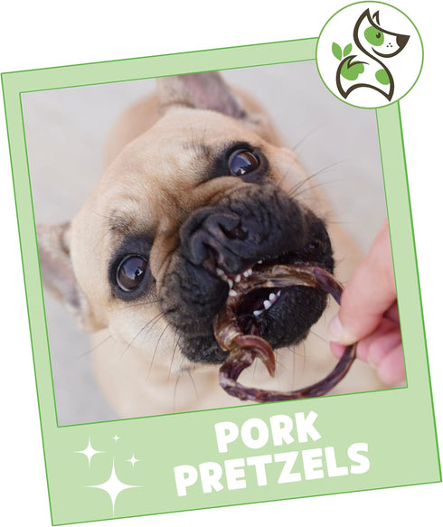 Nature Gnaws Pork Bully Stick Pretzels for Dogs - 4-5" (15 Count) - Natural Bacon Chew Treats