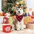Malier 2 Pack Christmas Dog Bandanas, Classic Buffalo Red Plaid for Small and Extra Large Dogs