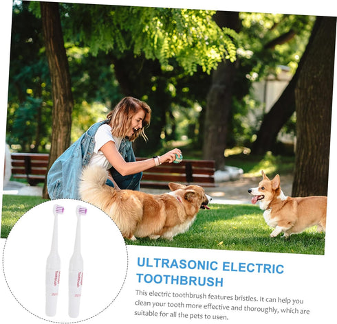 2pcs Beavorty Toothbrush Electric Pet Brush Gentle Gums Care Travel Size Random Color