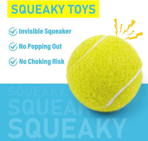 3 Pack 2.5, Prime Pets Tennis Balls for Dogs Durable Dog Toys for Training, Fetch & Outdoor Play, Squeaky Balls