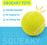 3 Pack 2.5, Prime Pets Tennis Balls for Dogs Durable Dog Toys for Training, Fetch & Outdoor Play, Squeaky Balls