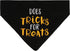 Pearhead Trick or Treat Bandana, Fall Holiday Dog Apparel, Halloween Costume, Slip On Collar Accessories, Small/Medium