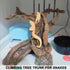 Hermit Crab Climbing Toys, Artificial Tree Trunk Ornaments for Betta Fish Hideout Decor