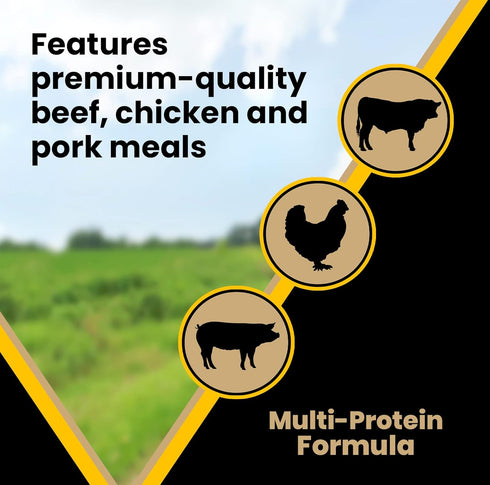 Victor Super Premium Dog Food – Multi-Pro Dry Dog Food, Gluten Free with Beef, Chicken and Pork Protein, 5 lb