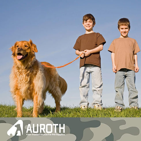 AUROTH 6FT/4.5FT Dog Leash for Large Dogs, Heavy Duty Bungee, No Pull with 2 Padded Handles, Orange
