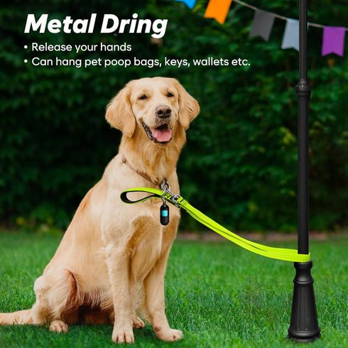 4 Ft LED Dog Leash, Waterproof Rechargeable Light Up Leash for Night Walking, Nylon Reflective with Padded Handle