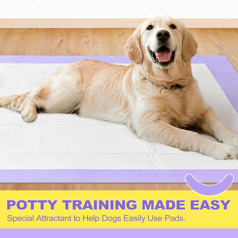 28x44in, 12 6 (30 Counts) MIZOK Dog Pads Extra Large XXL Potty Pads for Dogs, Keeps Fresh & Clean, Ultra Absorbent Up