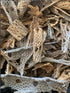 Teddy Bear Cholla Wood Shards Natural Hermit Crab Treats & Habitat Enrichment