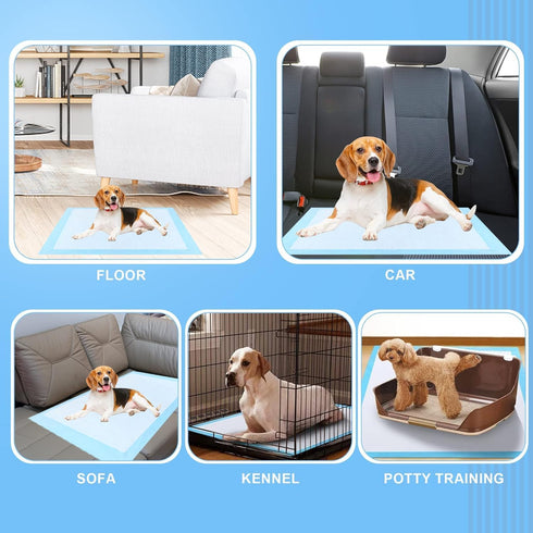 40"x40" 40 Count, Puppy Pee Pads for Dogs Extra Large Dog Pee Pads, Leak-Proof & Super Absorbent Dog Pee Pads, Thicken