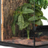 WOLEDOE Fake Green Money Tree Plant, Reptile Decor for Terrarium, Crested Gecko Tank Accessories fit Leopard Gecko
