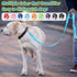 Sanwuta 9 Pack Nylon Dog Training Leash, 6 ft for Small and Medium Dogs, Puppy Traction Rope for Training, Play, Camping