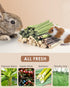 60 Chinchilla Bissap PCS Rabbit Chew Sticks, Sweet Bamboo Timothy Hay Chew Stick Papaya Stems Apple Branch Bunny Chews