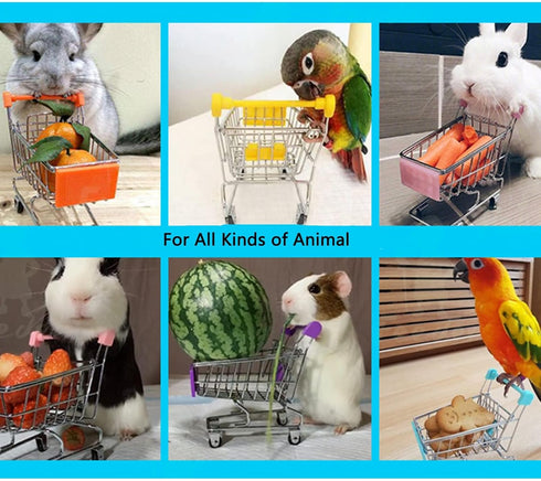 Chinchilla MANON ROSA Rabbit Toy Bunny Mini Shopping Cart Small Animal Supermarket Handcart Hedgehogs Parrot Bird Cats