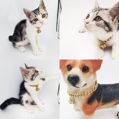 18K Gold Cat Dog Collar Kitten Puppy 1/2inch 12mm Wide Stainless Steel Kitten Choker Curb Chew Proof Cuban Link Chain with Bell (Neck Fit 6"-8") (Neck Fit 12“-14”)