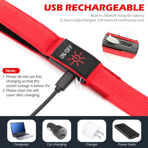 LED Dog Leash Light Up, 4 Feet Micro USB Rechargeable Nylon Webbing Glow Safety Standard Dog Leash by Bpawser (Red)