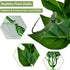 PINVNBY Reptile Terrarium Plants - Hanging Artificial Habitat Climbing Decorations with Suction Cup, 6PCS