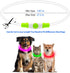 Flashseen LED Dog Collar, USB Rechargeable Glowing Lighted Collar, Cuttable Water-Resistant TPU Safety Collar