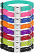 CollarDirect Reflective Dog Collar for Small, Medium, Large Dogs or Puppies, Quick Release Buckle, Blue
