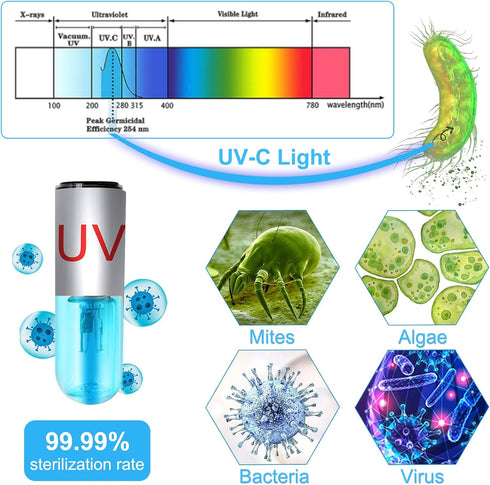TAISHAN 3W Mini Aquarium Algae Removal Light with Timer, Waterproof Green Clear Light for Fish Tank, Pond & Pool