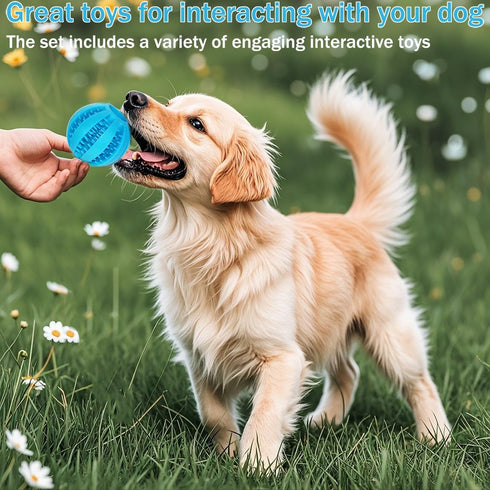 Puppy Toys Set 20 Pack - Interactive Chew Toys for Teething Small Breeds, Tough Rope & Soft Rubber Bundle