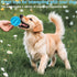 Puppy Toys Set 20 Pack - Interactive Chew Toys for Teething Small Breeds, Tough Rope & Soft Rubber Bundle