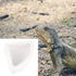 ibasenice Reptile Food Water Bowls - Ceramic Dish for Leopard Gecko (Medium Triangle, 2PCS)