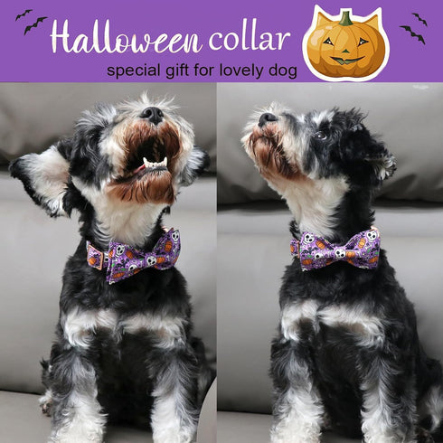 ARING PET Halloween Dog Collar - Cute Pumpkin Bowtie Cotton Purple Skull Bat Collars with Metal Buckle