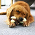 Tikaton Dog Chew Toys for Aggressive Chewers, Beef Flavor Durable Teething Bones for Large/Medium/Small Puppies