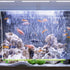 Quickun Aquarium Air Stone Bubble Wall Tube, Oxygen Diffuser Bar Decor Accessory for Fish Tank 18 Inch