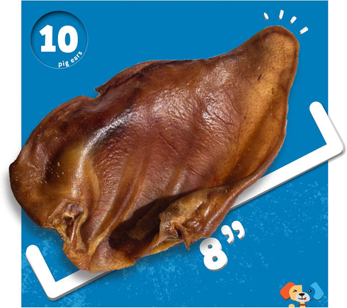 Jack&Pup Extra Thick Whole Pig Ears for Dogs - Premium Natural Pork Chews, 10 Pack, Excellent Rawhide Alternative