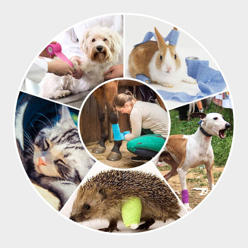 WePet Pet Wrap, Self-Adhesive Non-Woven Bandage, Emergency Cohesive Gauze for Dogs, Cats, Horse, Birds, Wounds