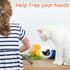 Sumind 6 Pcs Cat Collar Toy with Feather - Interactive Cat Stick Wand Toys with Bell for Indoor Kittens