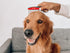 Tuff Pupper Dog Grooming Comb Set, Ergonomic Pet Detangling Combs, No-Slip Handle, Rounded Tips