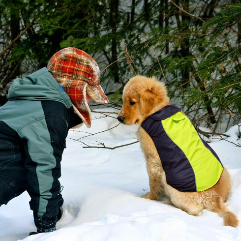 Vizpet Dog Raincoat Waterproof Coats, High Visibility Warm Vest for Small Medium Large Dogs (Green-L)
