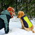 Vizpet Dog Raincoat Waterproof Coats, High Visibility Warm Vest for Small Medium Large Dogs (Green-L)