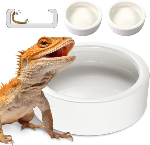 Large Worm Dish - 2 Pcs Ceramic Pet Bowls for Reptiles, Mealworms Bowl for Bearded Dragon, Chameleon