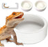 Large Worm Dish - 2 Pcs Ceramic Pet Bowls for Reptiles, Mealworms Bowl for Bearded Dragon, Chameleon
