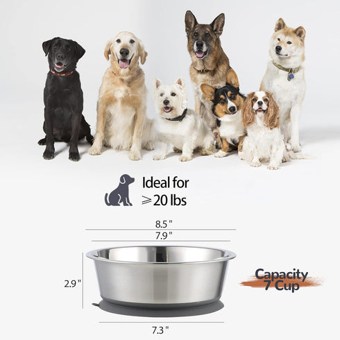 Stainless Steel Dog Bowl Set of 2, Metal Bowls with Suction Base, Rubber Bottom & Easy Clean (Gray, 2 Pack)