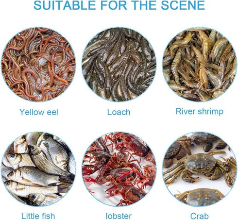 14.05X14.05X4.33In Toddmomy Portable EEL Catching Cage Crab Trap Shrimp Lobster Fishing Basket Lightweight Mesh Net
